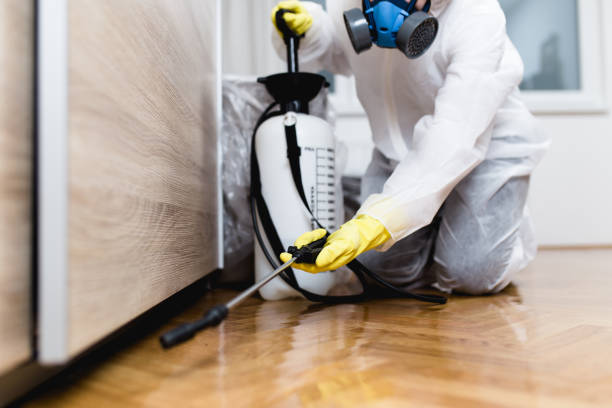 Best Local Pest Control Services  in Florence Graham, CA