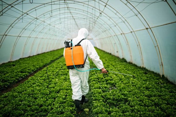 Best Mosquito Control Services  in Florence Graham, CA