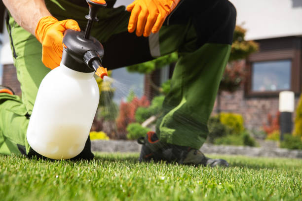 Best Pest Inspection Near Me  in Florence Graham, CA