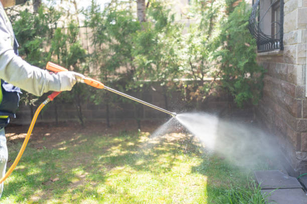Best Termite Control Services  in Florence Graham, CA