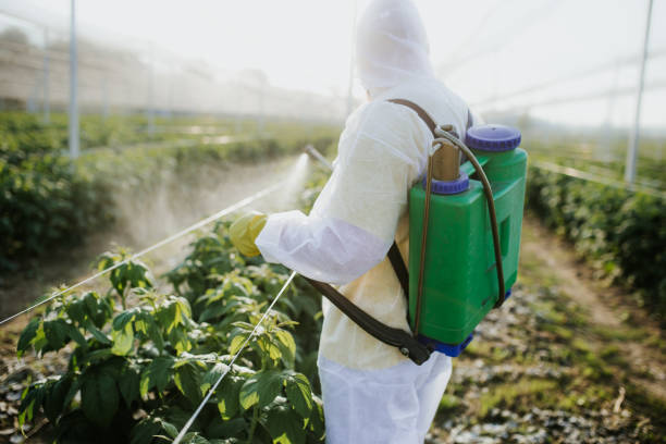Best Affordable Pest Control Services  in Florence Graham, CA